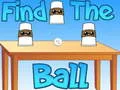Find The Ball Find The Ball