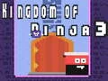 Kingdom of Ninja 3