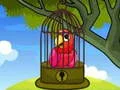 Red Parrot Rescue