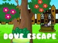 Dove Escape