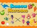 Shadow Matching