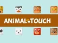 Animal Toush Animal Toush