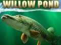 Willow Pond