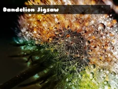 Dandelion Jigsaw – kostenloses Online-Spiel
