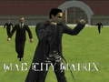 Mad City Matrix Mad City Matrix