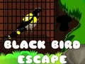 Black Bird Escape