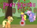 Pony Racing Pony Racing