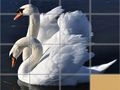 Animals Slide Puzzle Animals Slide Puzzle
