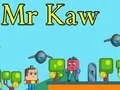 Mr Kaw