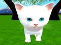 Cutie cat