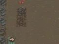 The Survival