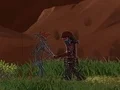 Phase Ninja
