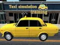 Taxi simulation training