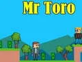 Mr Toro Mr Toro