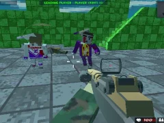 游戏Survival Shooting Xtreme Crazy Pixel Combat在线