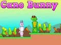 Cano Bunny
