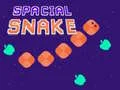Spacial Snake
