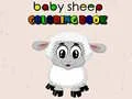 Baby sheep ColoringBook