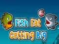 Fish Eat Getting Big Fish Eat Getting Big