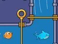 Save the Fish