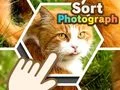 Sort Photograph Sort Photograph