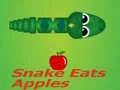 Snake Eats Apple