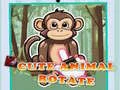 Cute Animal Rotate Cute Animal Rotate