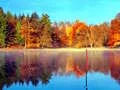 Fishing Simulator Online