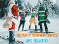 Ski Resort Hidden Snowflakes