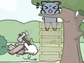Catch The Cat