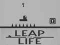 Leap of Life