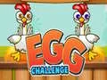 Egg Challenge Egg Challenge