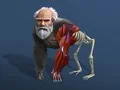 Idle Evolution From Cell To Human Idle Evolution From Cell To Human