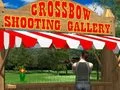 Crossbow Shooting Gallery