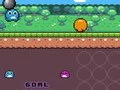Frog Adventure Frog Adventure