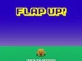 Flap Up Flap Up