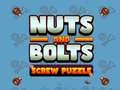 Nuts and Bolts Screw Puzzle