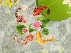 Koi Fish Pond