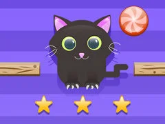 Cat Challenge Cat Challenge
