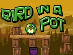 Bir In a Pot Bir In a Pot