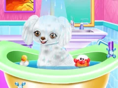 My New Poodle Friend — ücretsiz çevrimiçi oyun