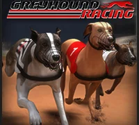 Igra Greyhound Racing online
