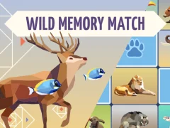 Гаме Wild Memory Match онлајн