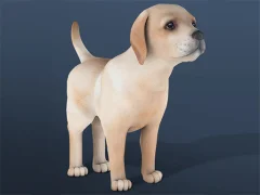 IDLE Pet — لعبة مجانية اون لاين