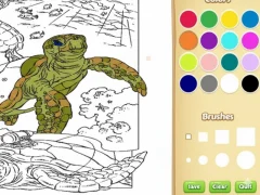 Sea Animal Coloring Book