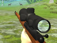 Igra Hunter 3D online