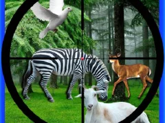 Real Jungle Animals Hunting — bezplatná online hra