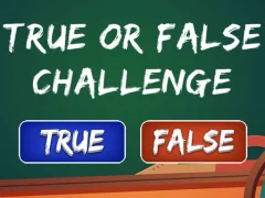 Spil True Or False Challenge online