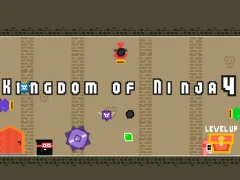 Kingdom of Ninja 4