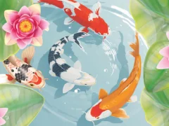 Koi Fish Pond – kostenloses Online-Spiel